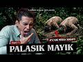 JADI INI ASAL MULA PALASIK MAYIK Palasik Mayik Part 7