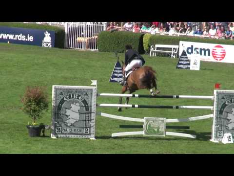 Eurocommerce Lexington (webstallions.com)