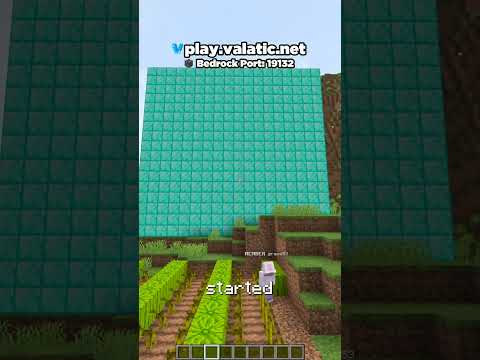 This player joined my Earth SMP and did this...