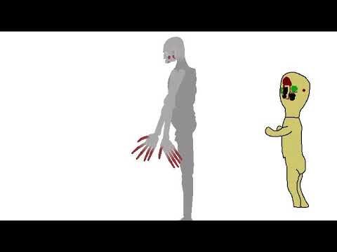 Scp 096 y scp 173