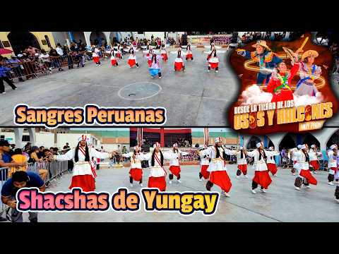 Shacshas de Yungay - Ancash - Sangres Peruanas / Osos y Halcones 2026 - EM Puente P