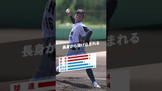 【ドラフト2024】注目選手紹介『今朝丸裕喜』#野球 #プロ野球 #ドラフト #報徳学園
