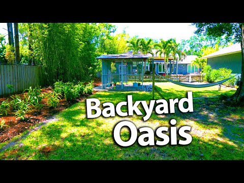 How We Transformed This Backyard Into A Tropical Food Forest Oasis!