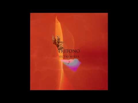 Sectio Aurea - Diabolus In Musica