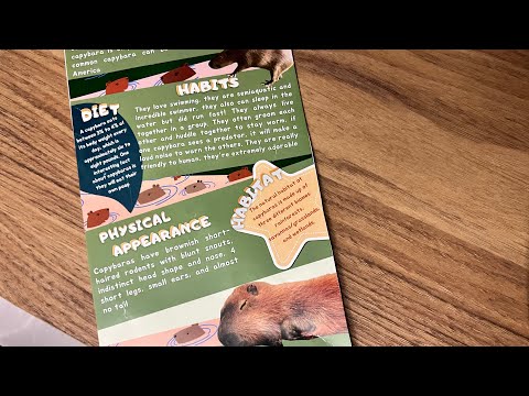 Friendliest Animal in The World, Capybara! -Aziza Dinda Kaulika IX-C (04)