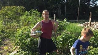 What does our homestead look like after being gone 12 days? #homesteading ##offgridliving #gardening