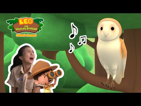 Witness21  2022 10 29