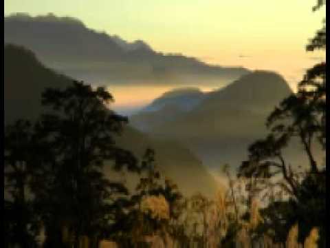 Veena Sahasrabuddhe Raga Shankara