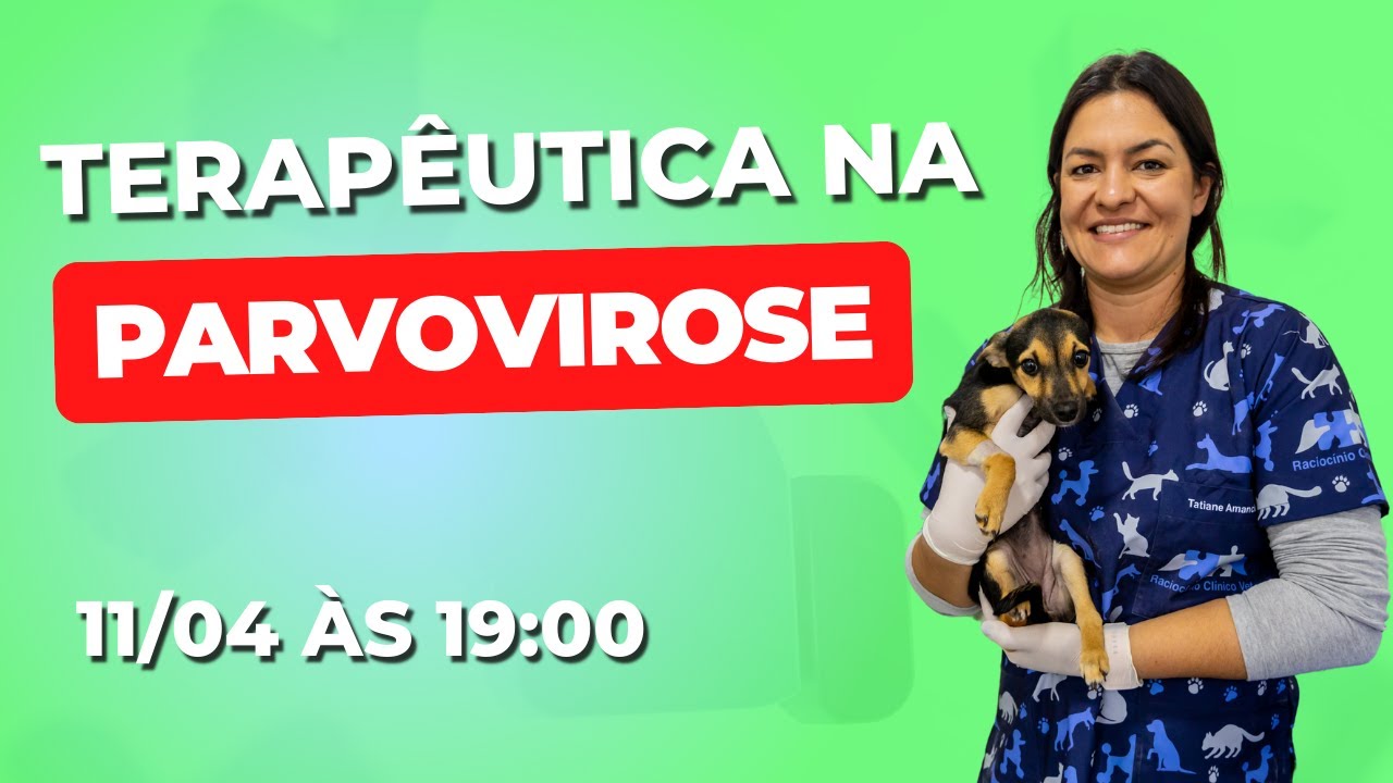 Terapêutica na Parvovirose