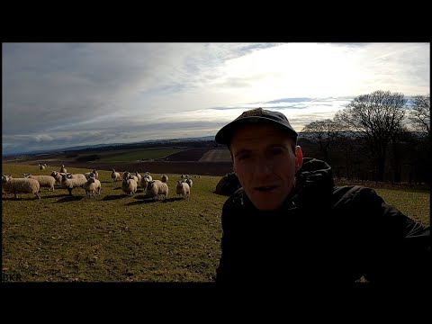 Charles Lyell: The Father of Modern Geology | Golden Age