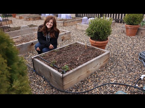 , title : 'How to Install Drip Irrigation in Raised Beds! 💦🌿// Garden Answer'