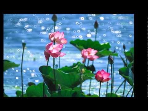 Thể hiện bởi Ánh Tuyết (Giọng Quảng Nam)