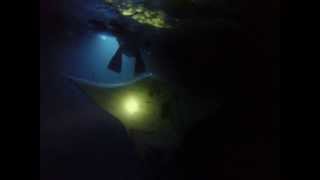 preview picture of video 'Keauhou Bay Night Manta Snorkeling'