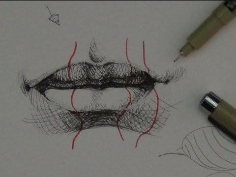 Pen Ink Drawing Tutorials | How to draw realistic lips