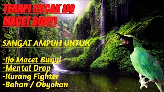 Download lagu TERAPI CUCAK IJO MACET BUNYI, SANGAT AMPUH UNTUK IJO DROP ATAU BAKALAN / OBYOKAN, PANCINGAN TERAMPUH mp3