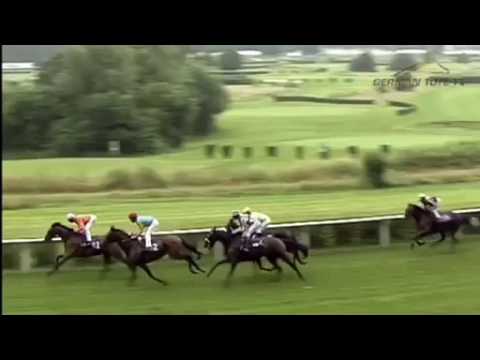 BMW M Performance Preis