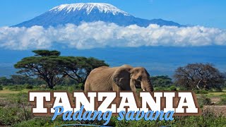 Download lagu PADANG SAVANA DI AFRIKA mp3