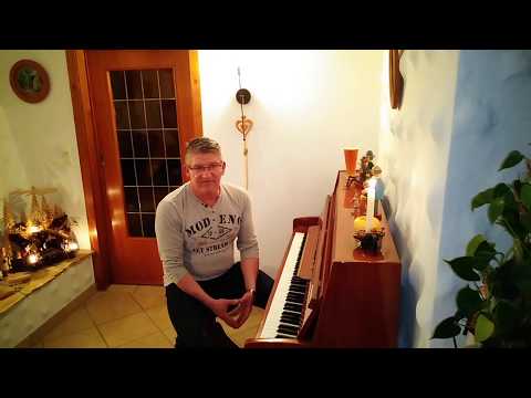 Hendrik Seibt - Ich wollte nie Erwachsen sein - für die 8. Klasse