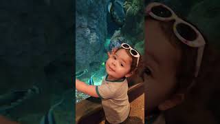 She Just LOVES Animals!!!