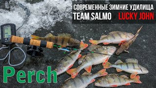 Удилище зимние salmo elite perch 55см