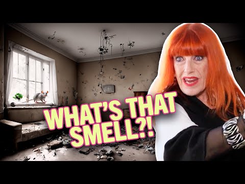 YUCK! House with mouldy carpets stinks