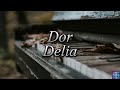 Dor - Delia (Versuri/Lyrics)