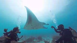 2026 Jan in Maldives PART 1