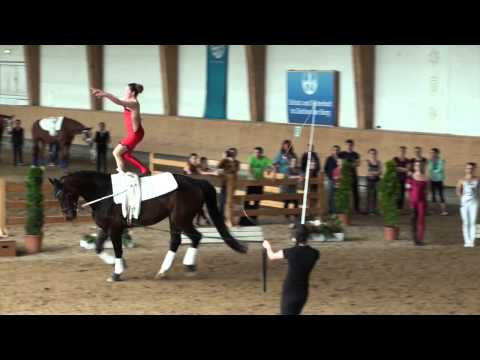 Pferd International 2015 - Gut Waffenschmiede Einzel