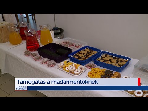 Híradó - 2021. 12. 03 - Péntek - Sopron TV