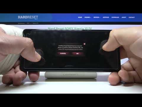 Sony Xperia 10 IV - Diablo Immortal ⚙️| Available Graphics Settings & Details Presentation