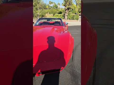 1974 Chevrolet Corvette Stingray (CC-1978579) for sale in Mission Viejo, California