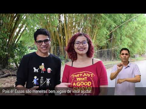 UFPAcontece - Campanhas da UFPA no Natal