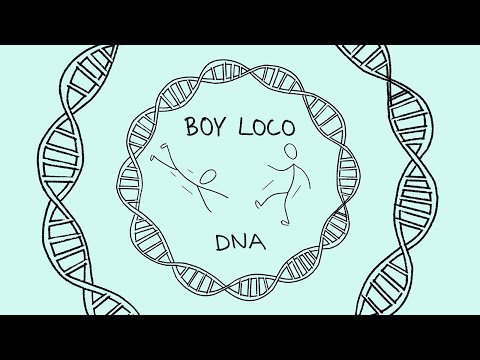 BOY LOCO - DNA (Official Visualizer)
