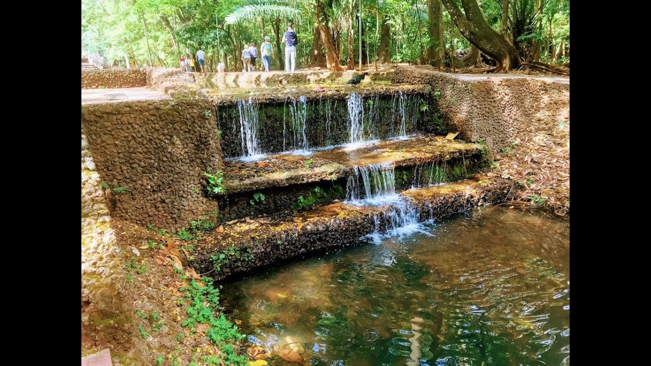 Visita ao Bosque dos Buritis em Goiânia GO