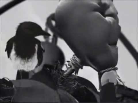 Sagopa Kajmer - Beyaban Remix