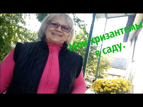 Обзор моих хризантем и пока Романково . Дорога через новый мост, Куриловку и на левый берег.