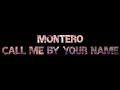 Lil Nas X MONTERO Call Me By Your Name WhatsApp Status Lyric Video Soul Lyrics YT