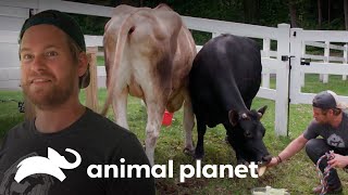 Thumbnail del capítulo