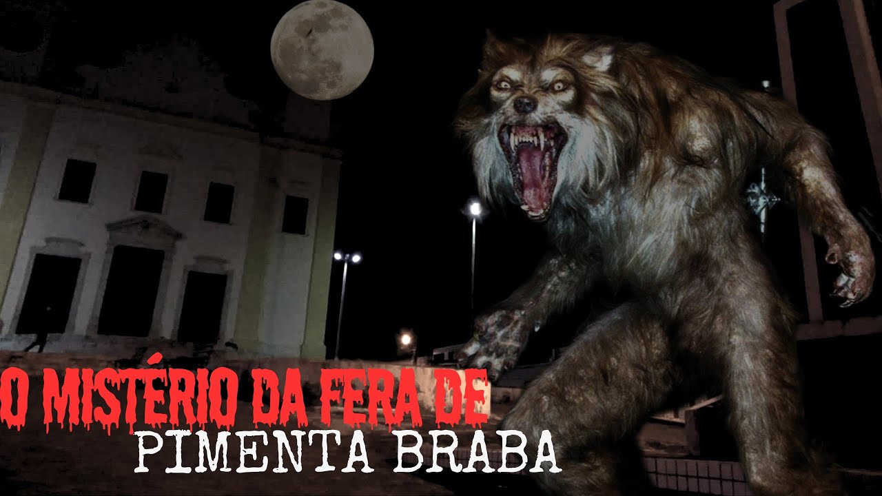O MISTÉRIO DA FERA DE PIMENTA BRABA.