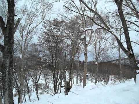 Tree Terrain Park at Dynaland in Gifu Prefecture, Japan - January 2012