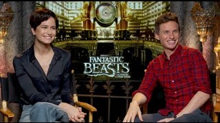 FANTASTIC BEASTS AND WHERE TO FIND THEM INTERVIEWS - Redmayne, Ezra Miller, Farrell, Waterston