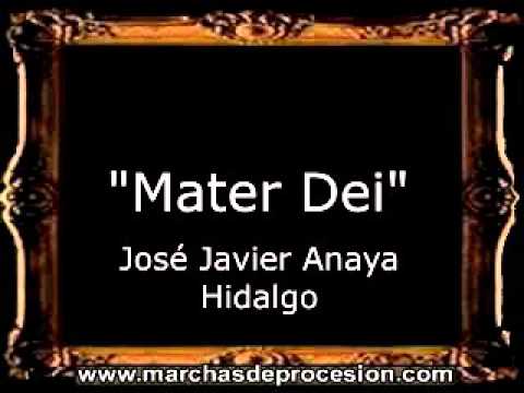 Mater Dei - José Javier Anaya Hidalgo [CT]