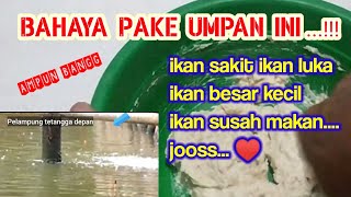 Download lagu Gaa disangka..!!Ternyata umpan ini Paling jitu dan Paling gacorrr...Umpan Ikan MAS susah makan mp3