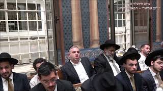 ראו בנים החזן ברוך לוי עונג שבת בהר בחוקותי  עם הרשל''צ הרב דוד יוסף שליט''א תשפ''ו