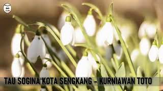 Download lagu karaoke bugis tau sogina kota sengkang mp3