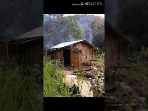 Guli Noh Do Namot Nopo.       Richard Camilus