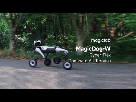 MagicDog-W Review Video 1