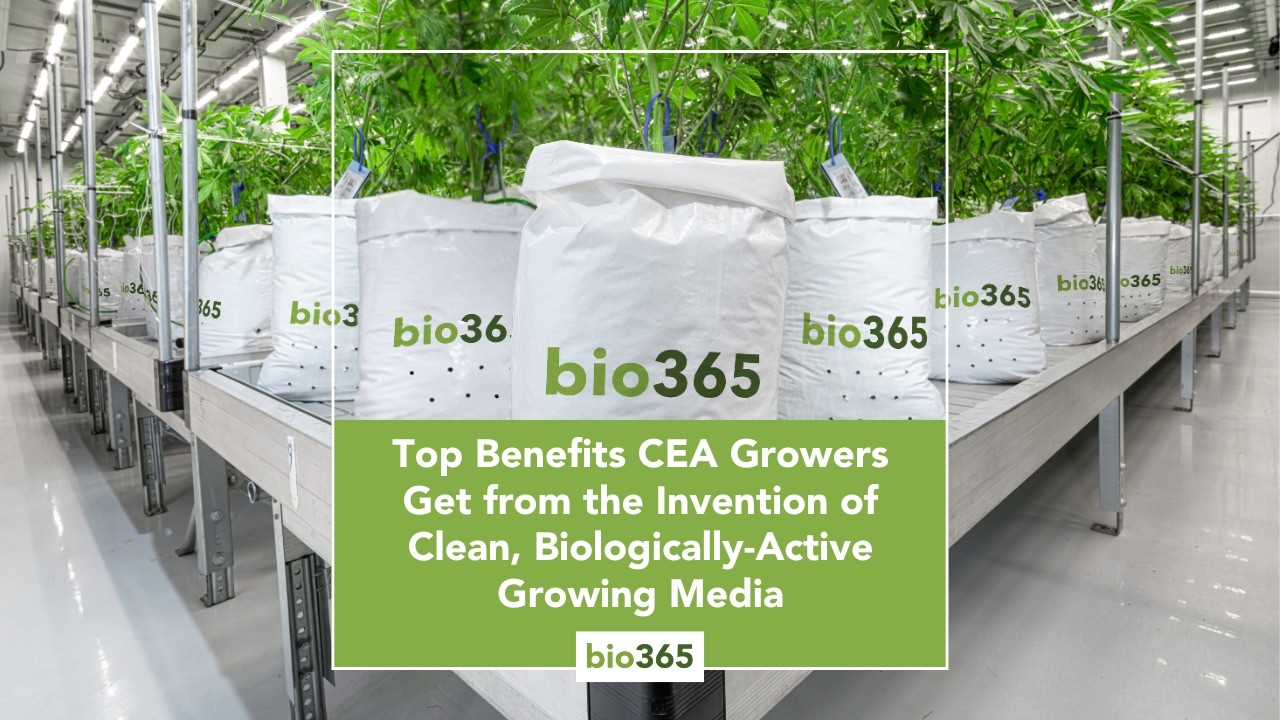 Benefits CEA Growers Get from bio365's Invention of Clean, Biologically-Active Growing Media