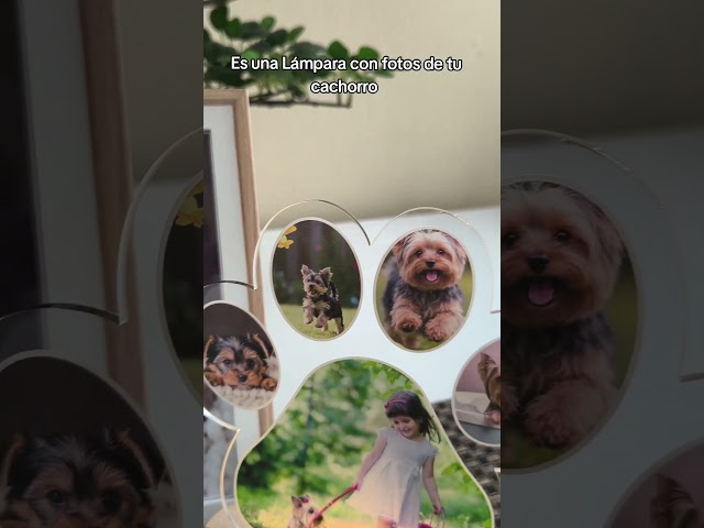 Vídeo relacionado con Lámpara De Animales, Luz Nocturna Artística Con LED De Luz Ambiental Cálida, Lámpara De Escritorio Artesanal De Resina Teñida, Regalo Con Temática De Mascotas Para Amantes De Los Perros.(Dragon)
