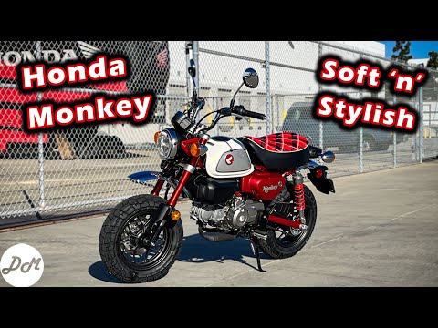 2023 Honda Monkey – DM Quick Ride Review